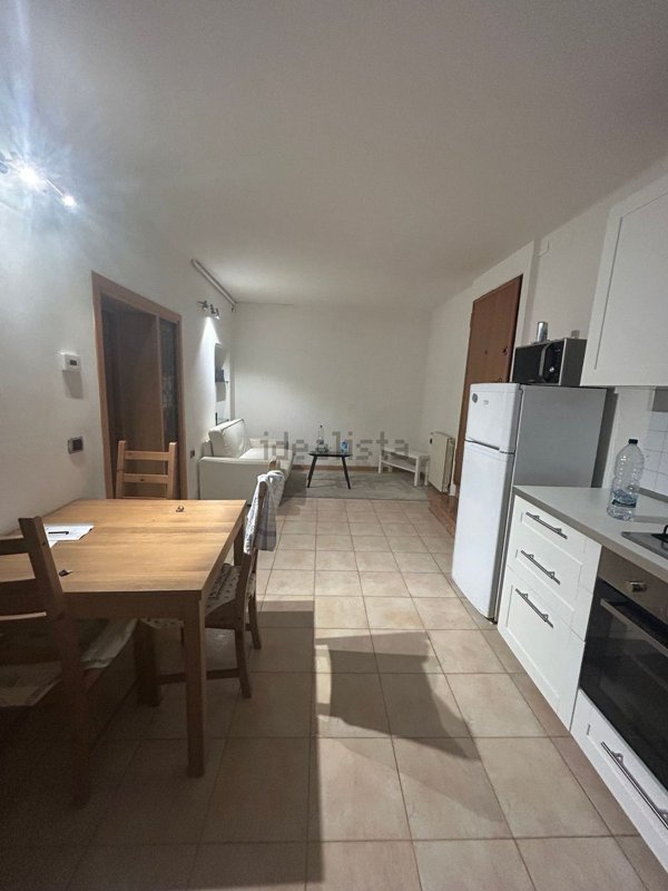 appartamento in affitto a Bologna in zona Santo Stefano