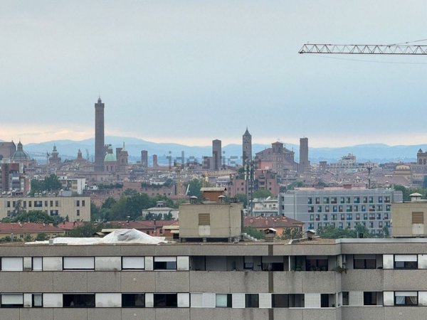 appartamento in affitto a Bologna in zona San Vitale