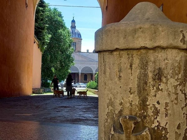 appartamento in affitto a Bologna in zona Santo Stefano
