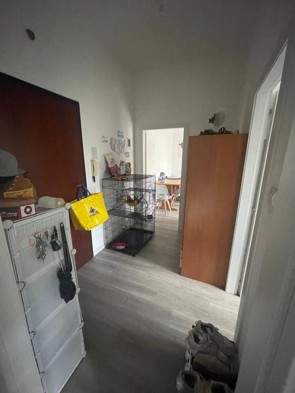appartamento in affitto a Bologna