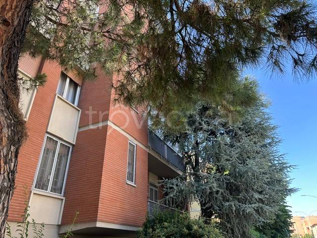 appartamento in affitto a Bologna in zona Mazzini
