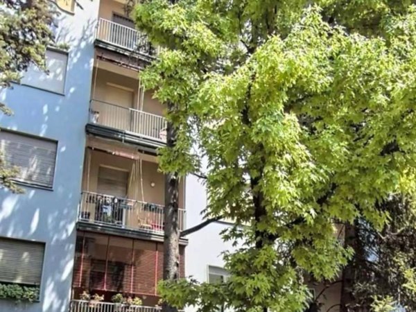 appartamento in affitto a Bologna in zona Saffi