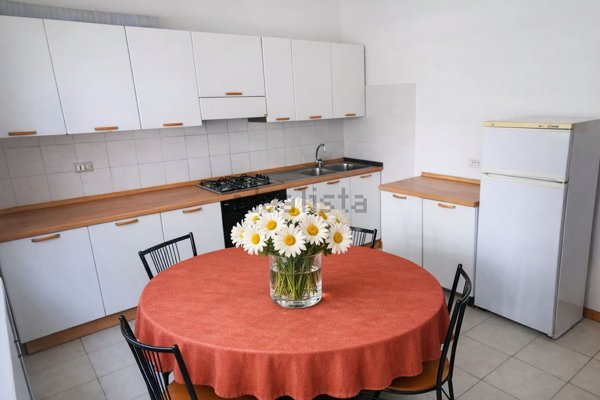 appartamento in affitto a Bologna in zona San Vitale