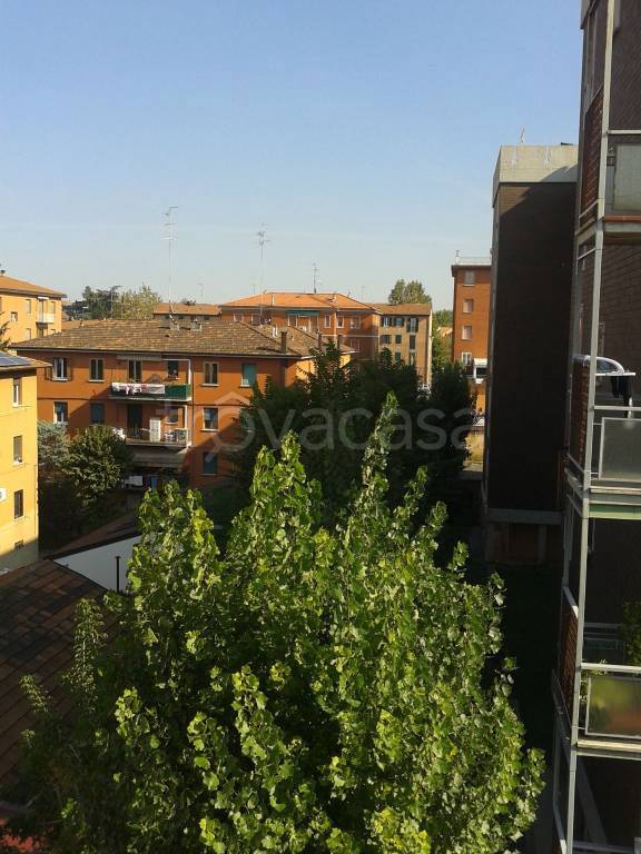 appartamento in affitto a Bologna in zona Murri