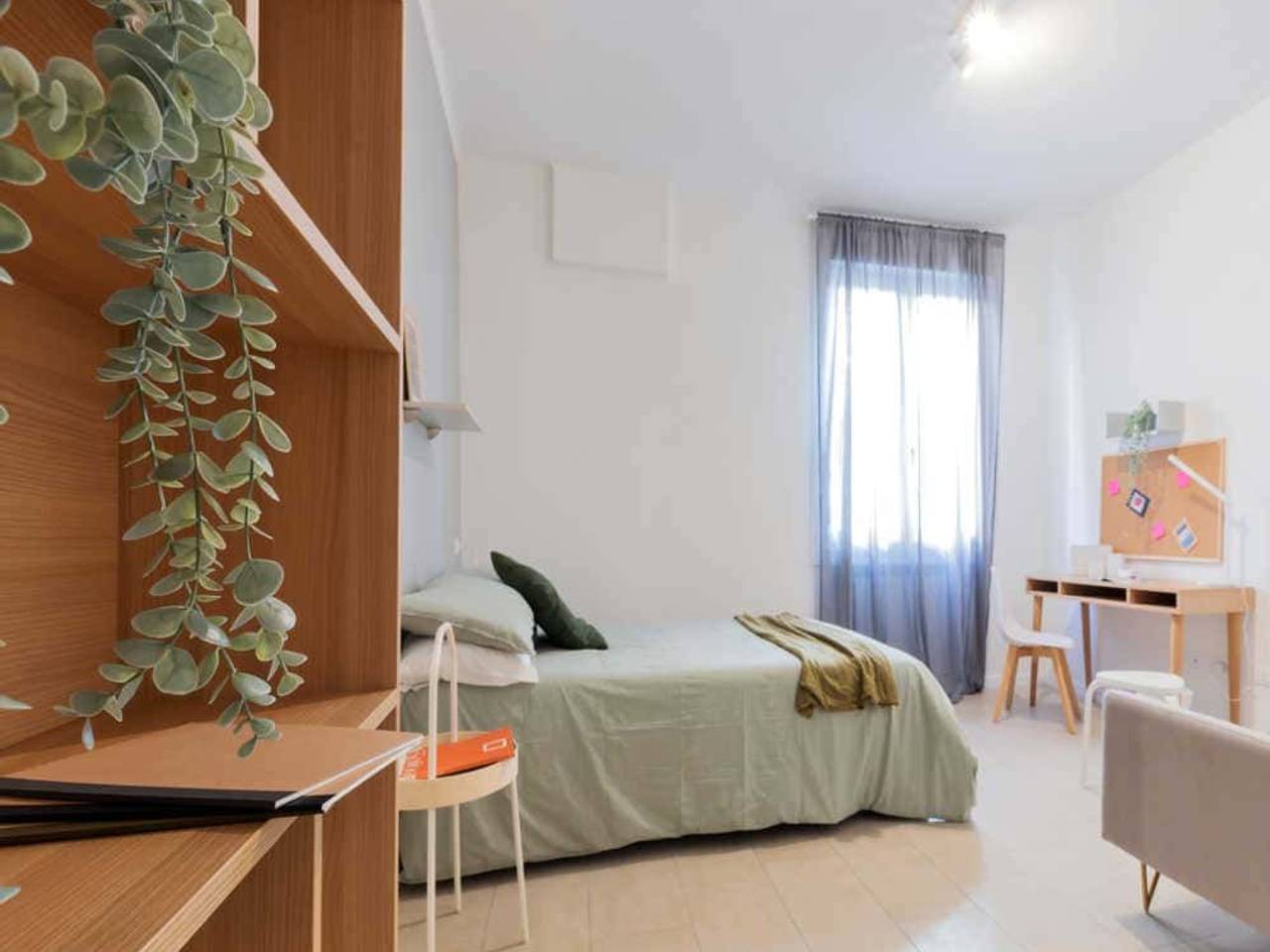 negozio in affitto a Bologna in zona Centro Storico