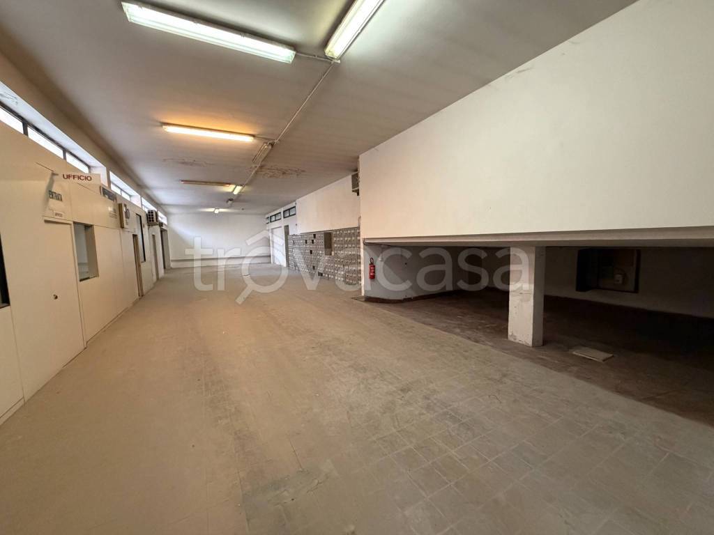 casa indipendente in affitto a Bologna in zona Santa Viola