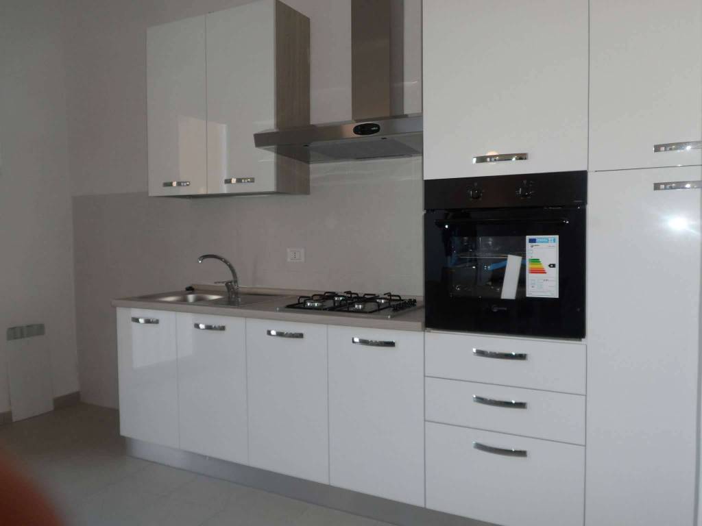 appartamento in affitto a Bologna in zona San Vitale