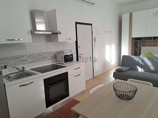 appartamento in affitto a Bologna in zona Santa Viola