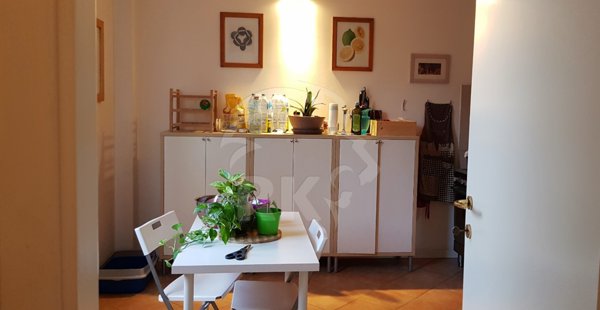 appartamento in affitto a Bologna in zona Saffi