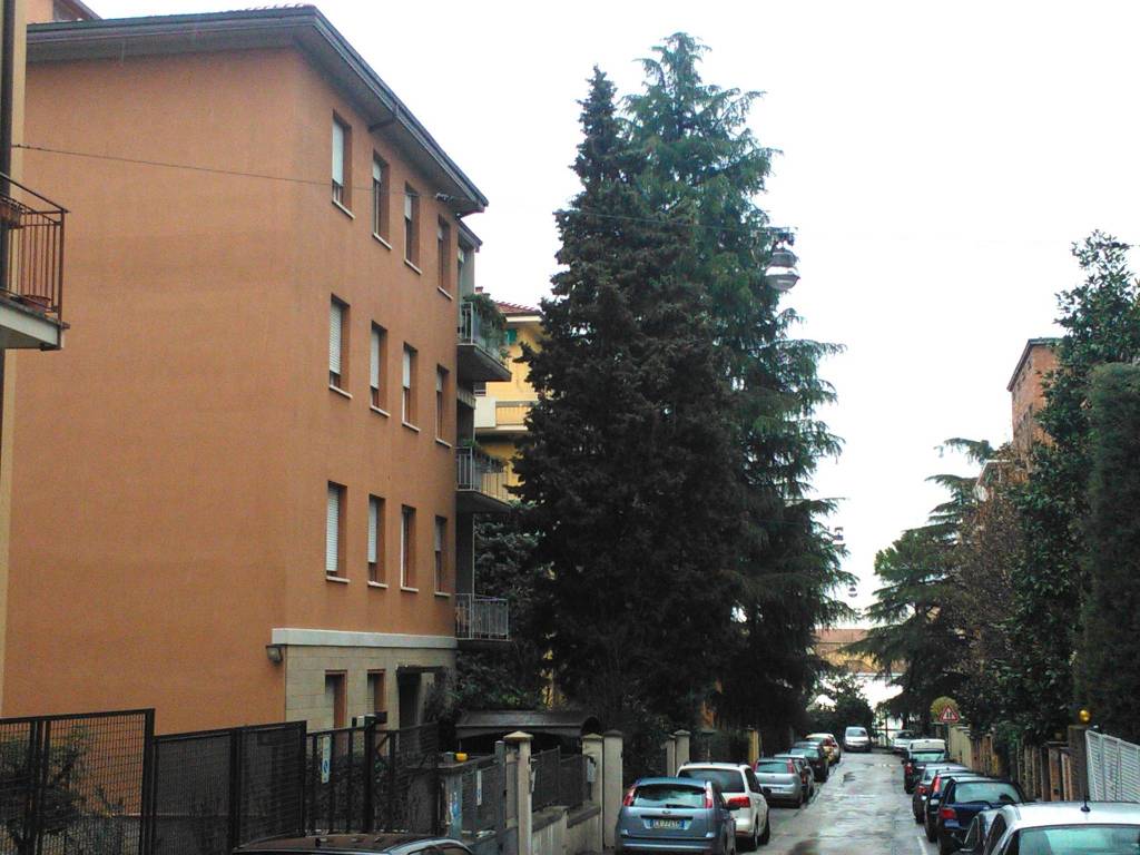 appartamento in affitto a Bologna in zona Murri