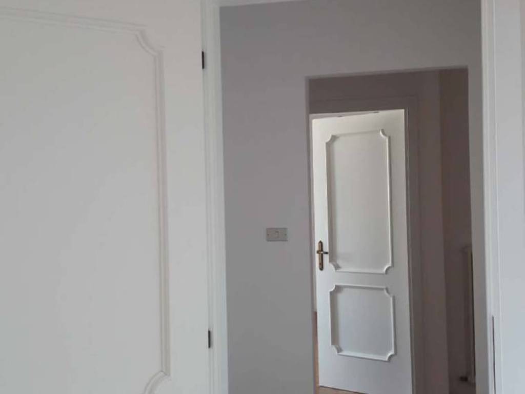 appartamento in affitto a Bologna in zona Santo Stefano