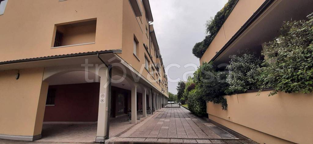 appartamento in affitto a Budrio