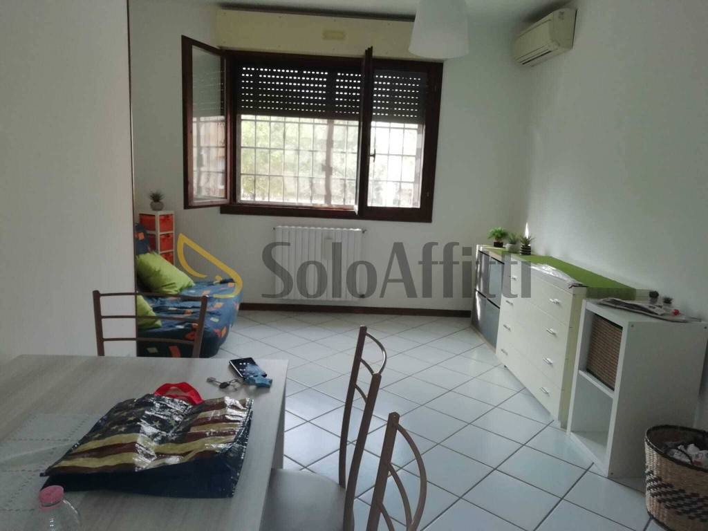 appartamento in affitto a Budrio