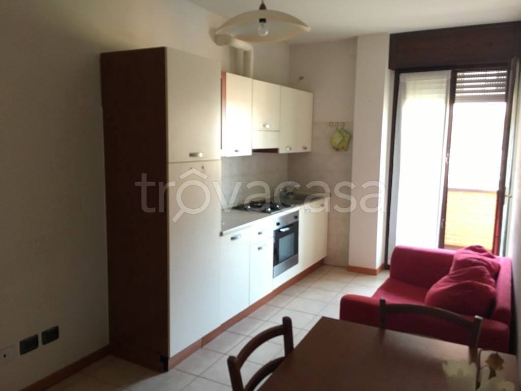 appartamento in affitto a Calderara di Reno