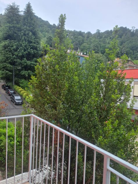 appartamento in affitto a Casalecchio di Reno