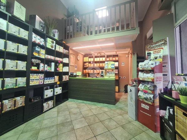 negozio in affitto a Casalecchio di Reno in zona Garibaldi/La Mutua