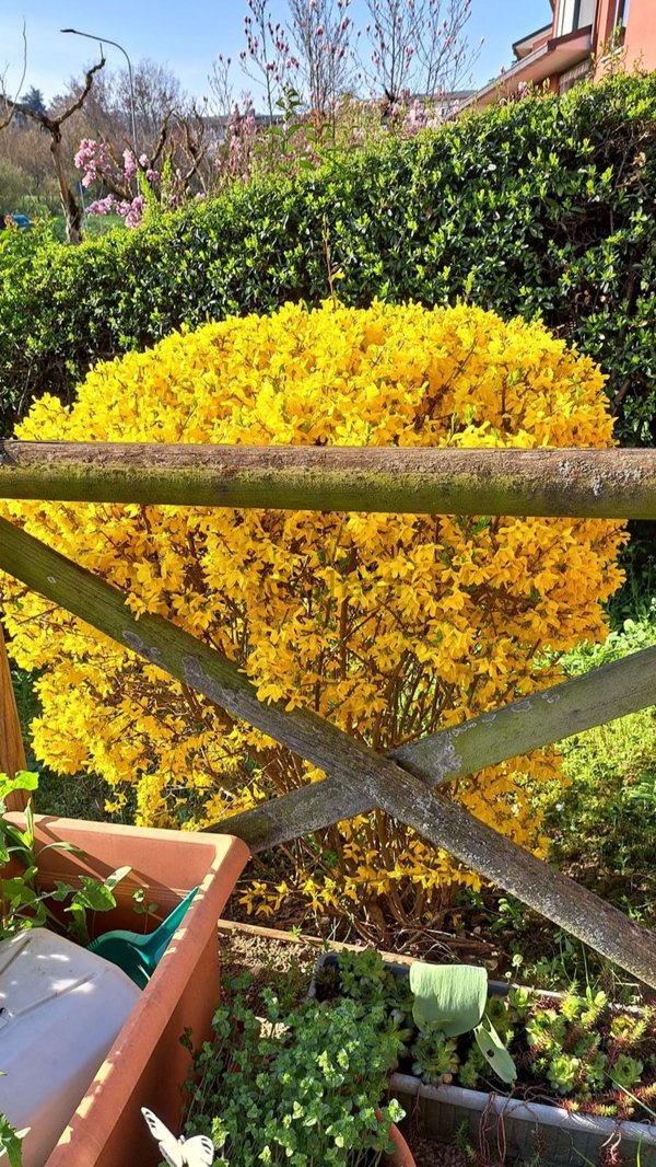 appartamento in affitto a Casalecchio di Reno