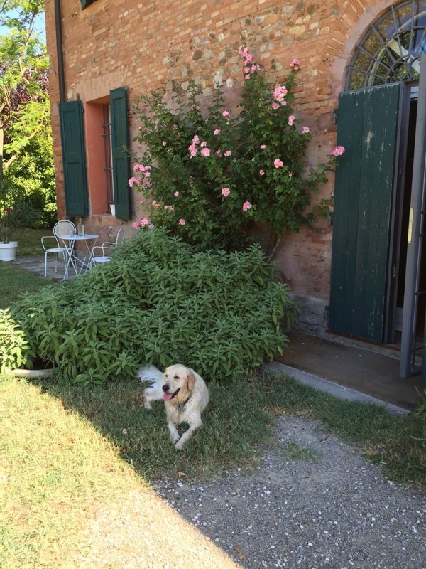 casa indipendente in affitto a Casalecchio di Reno