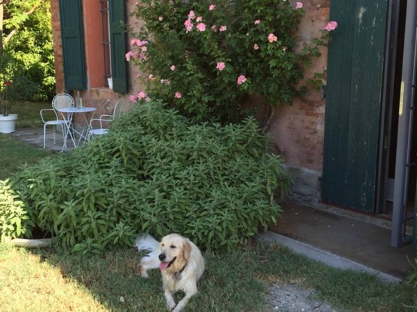 casa indipendente in affitto a Casalecchio di Reno