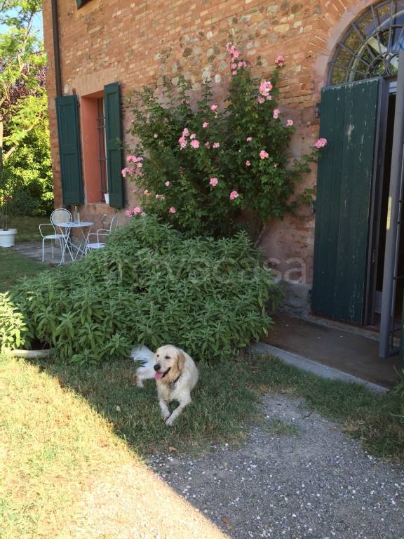 casa indipendente in affitto a Casalecchio di Reno