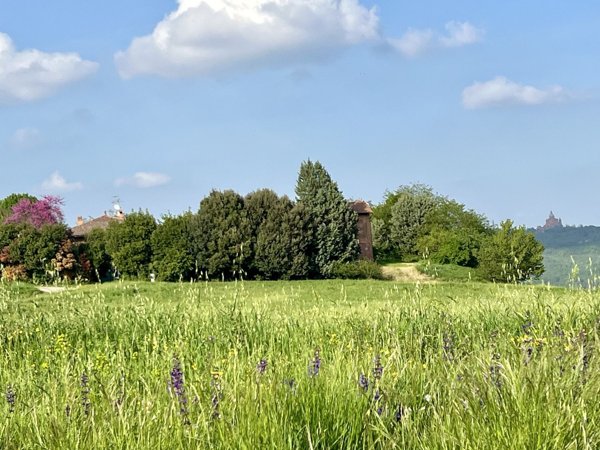 esavano in affitto a Casalecchio di Reno in zona San Biagio