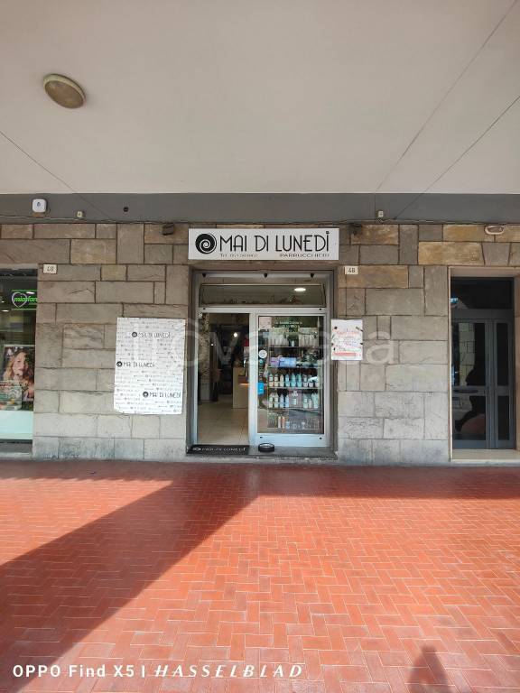 appartamento in affitto a Casalecchio di Reno in zona Croce
