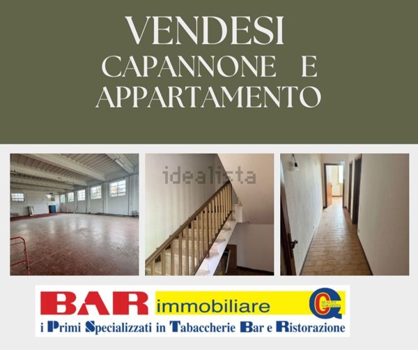 appartamento in affitto a Castello d'Argile