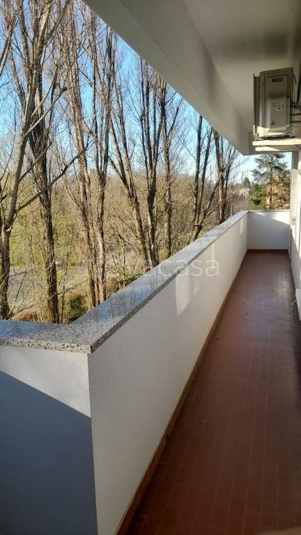 appartamento in affitto a Castel Maggiore