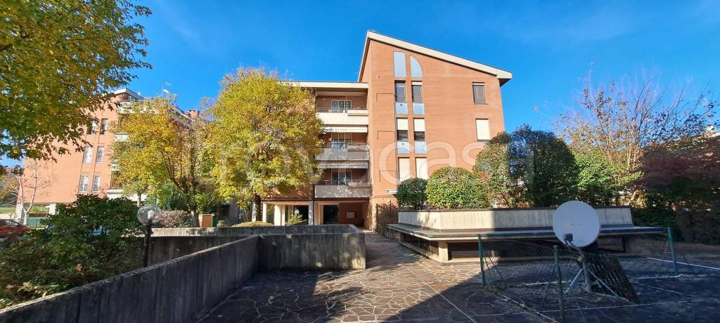 appartamento in affitto a Castel San Pietro Terme