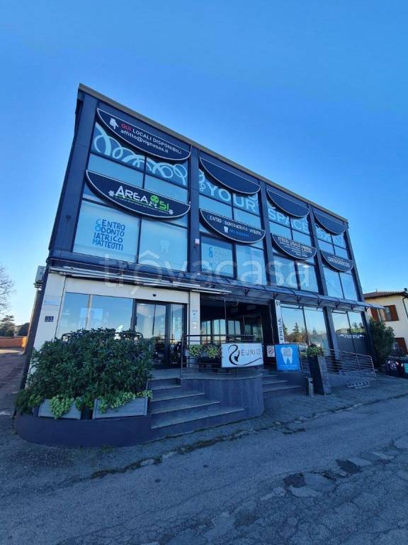 appartamento in affitto a Castel San Pietro Terme in zona Osteria Grande