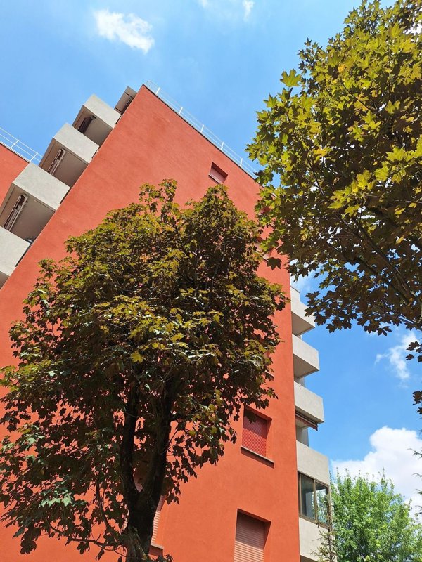 appartamento in affitto a Castenaso