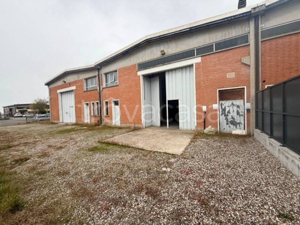 appartamento in affitto a Crevalcore