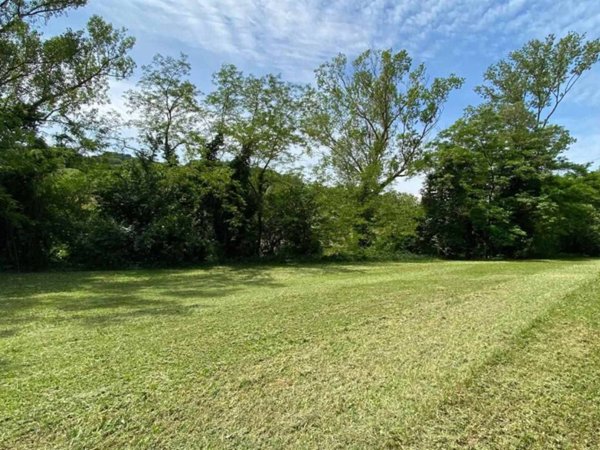 terreno agricolo in affitto a Dozza