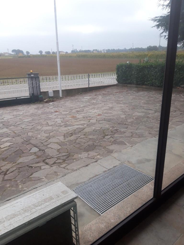 negozio in affitto a Dozza in zona Toscanella