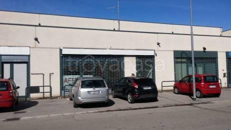 immagine annuncio 0 di 6