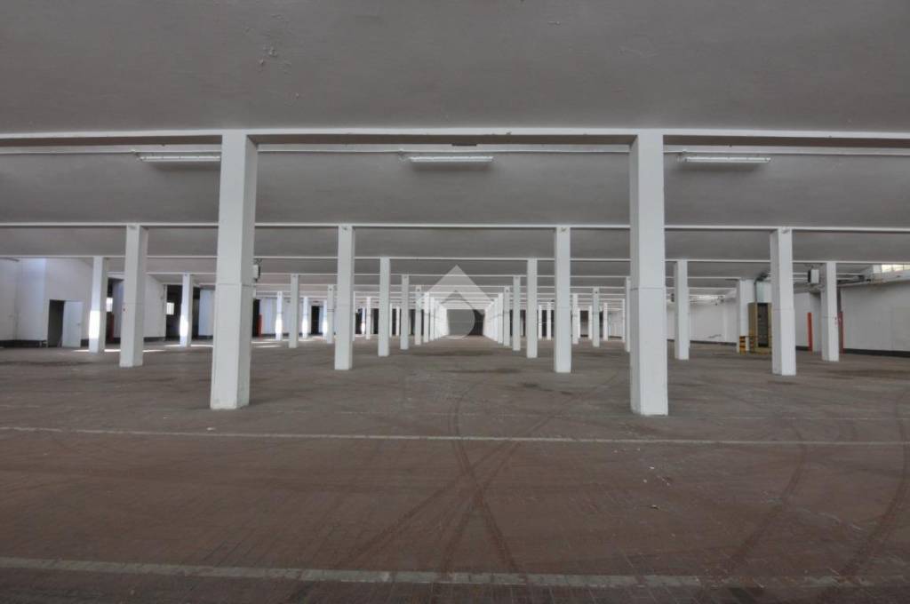 immagine annuncio 0 di 15