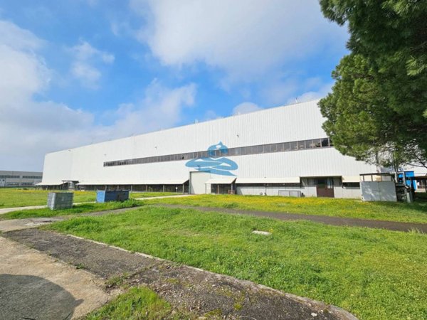 locale commerciale in affitto ad Imola in zona Area Industriale