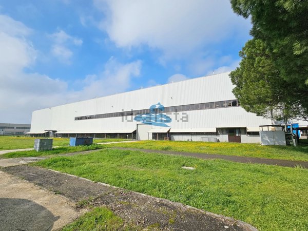 ufficio in affitto ad Imola