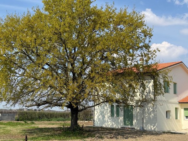 appartamento in affitto ad Imola in zona Sasso Morelli