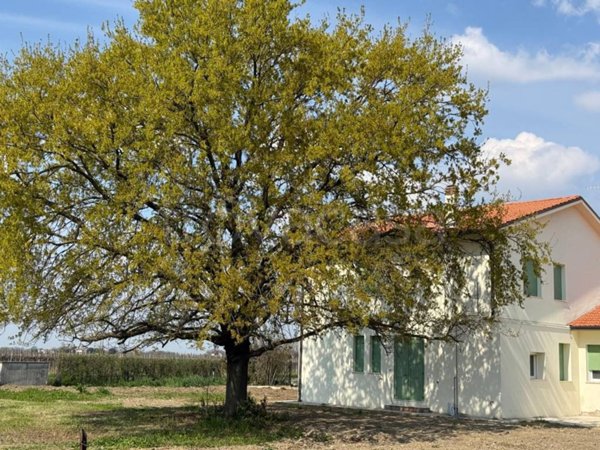 appartamento in affitto ad Imola in zona Sasso Morelli