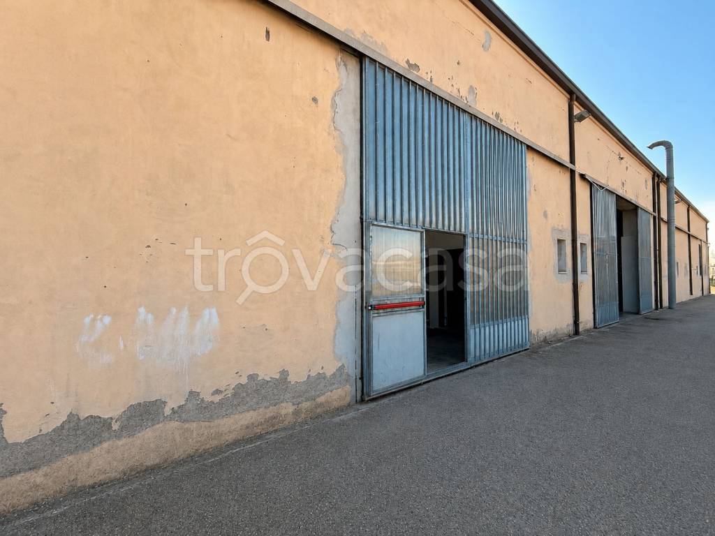 locale commerciale in affitto ad Imola in zona Area Industriale