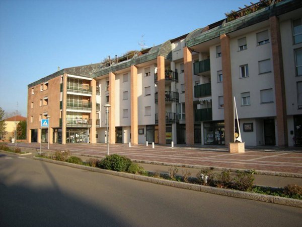 negozio in affitto a Medicina