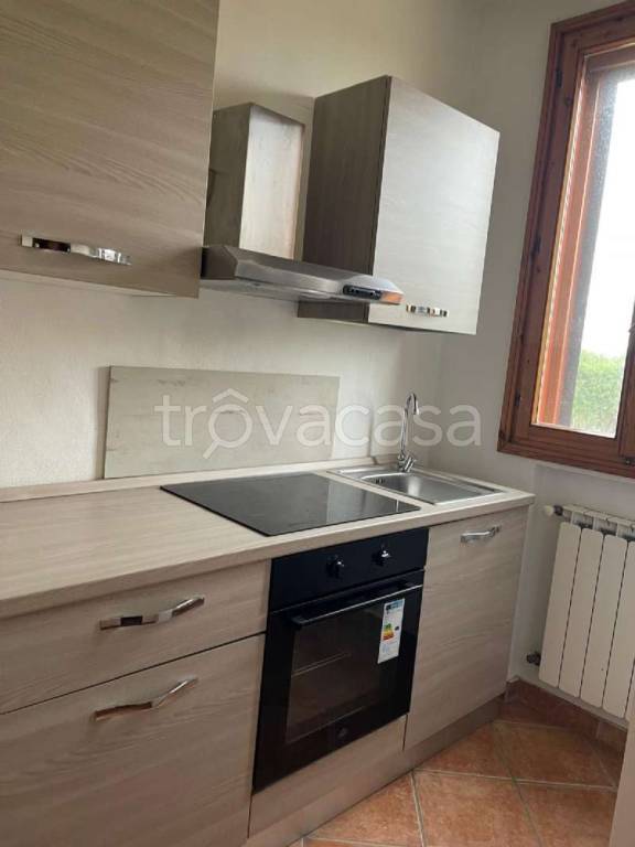 appartamento in affitto a Medicina