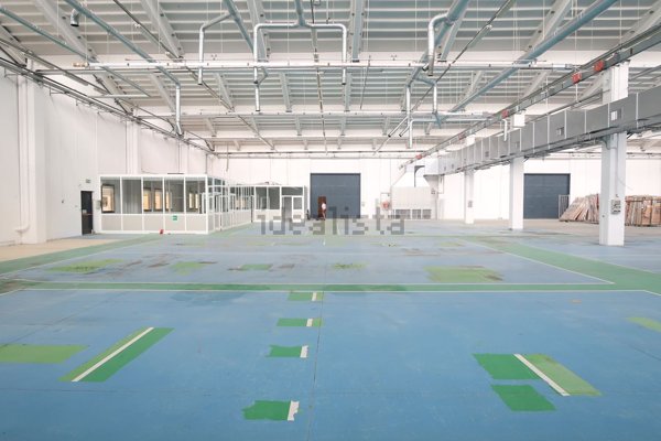 capannone in affitto a Medicina