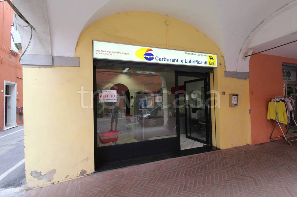 negozio in affitto a Medicina