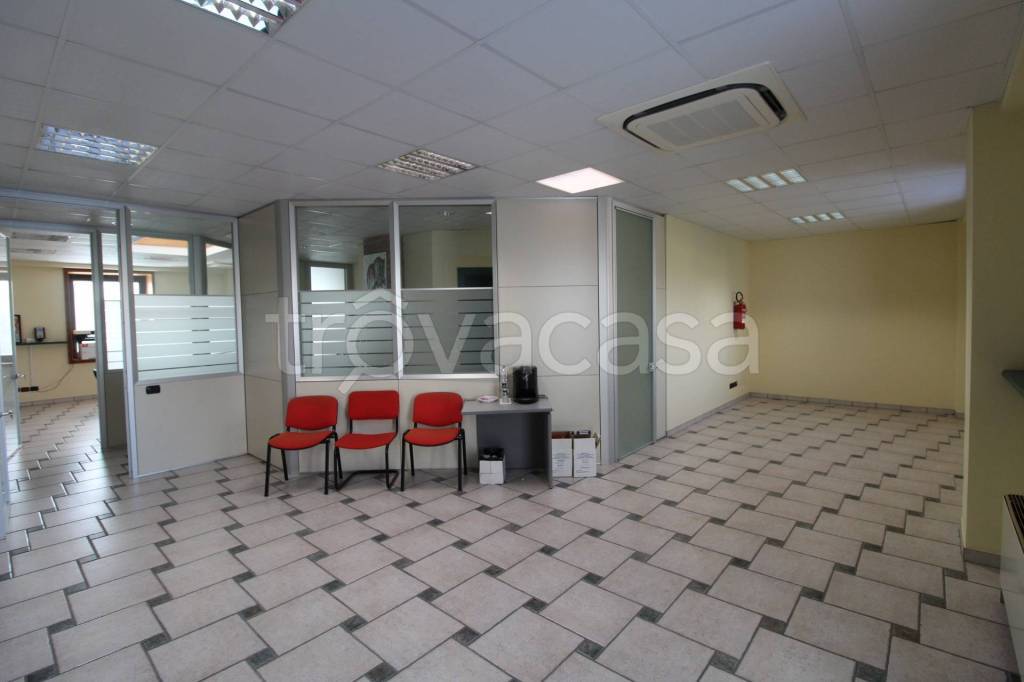 appartamento in affitto a Medicina