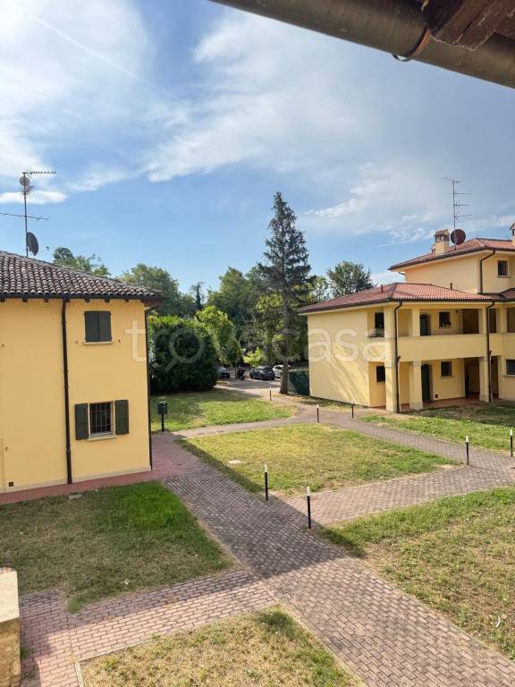 appartamento in affitto a Minerbio