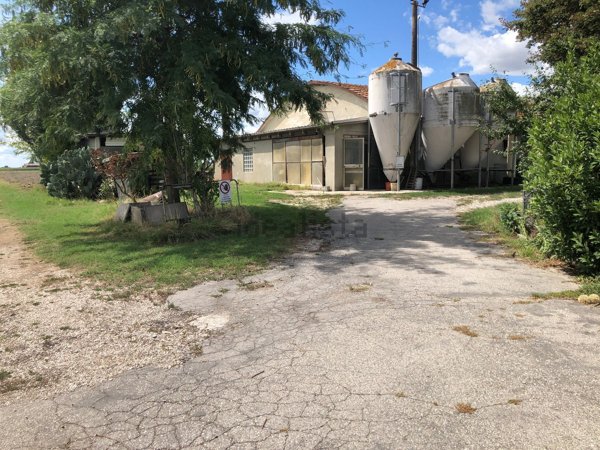 locale di sgombero in affitto a Molinella