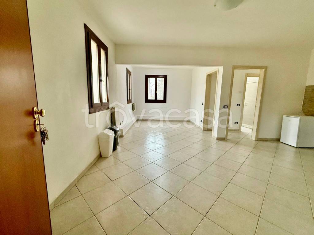 immagine annuncio 0 di 14