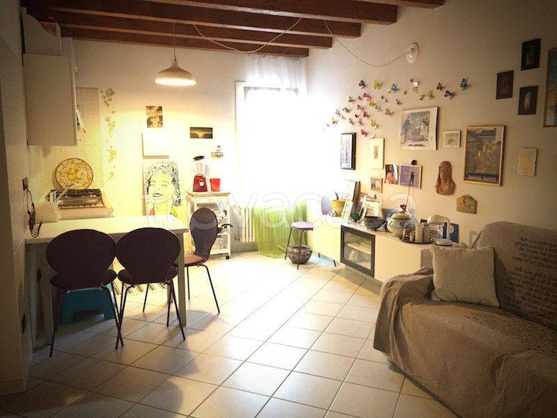 appartamento in affitto a Molinella